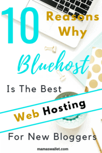 10 Reasons Why Bluehost Is The Best Web Hosting For New Bloggers