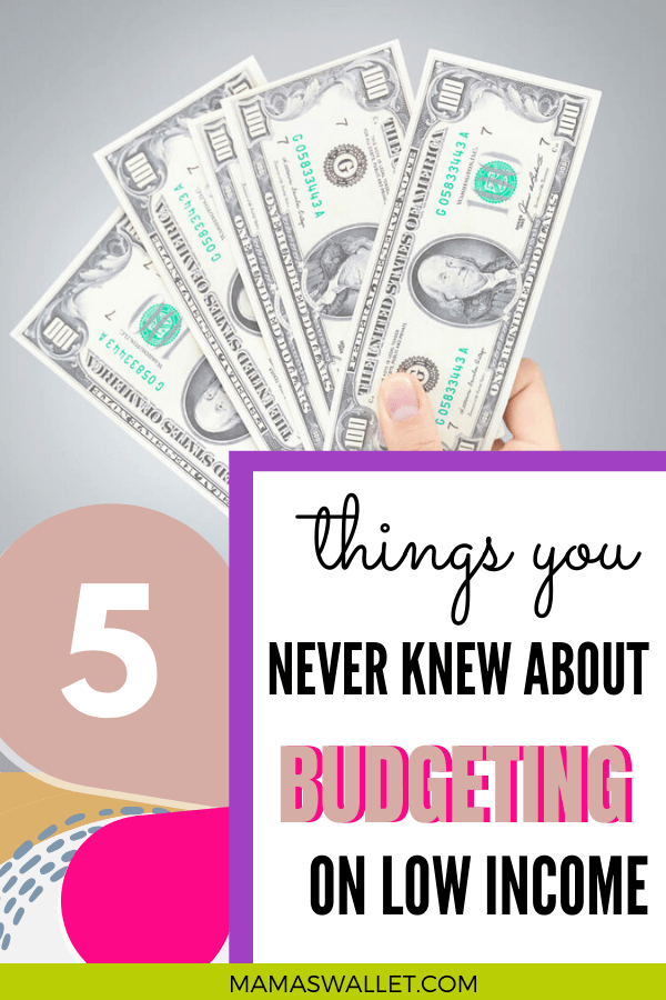 5 Things You Never Knew About Budgeting On Low Income