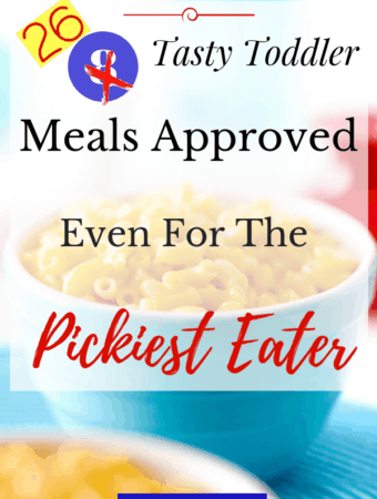 Twenty Six Tasty Toddler Meals Approved, Even For The Pickiest Eater