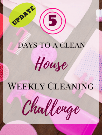 Update | Five Days To A Clean House