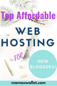Top Affordable Web Hosting For New Bloggers