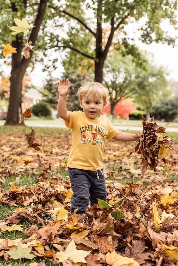 Child playing with fallen autumn leaves in park.