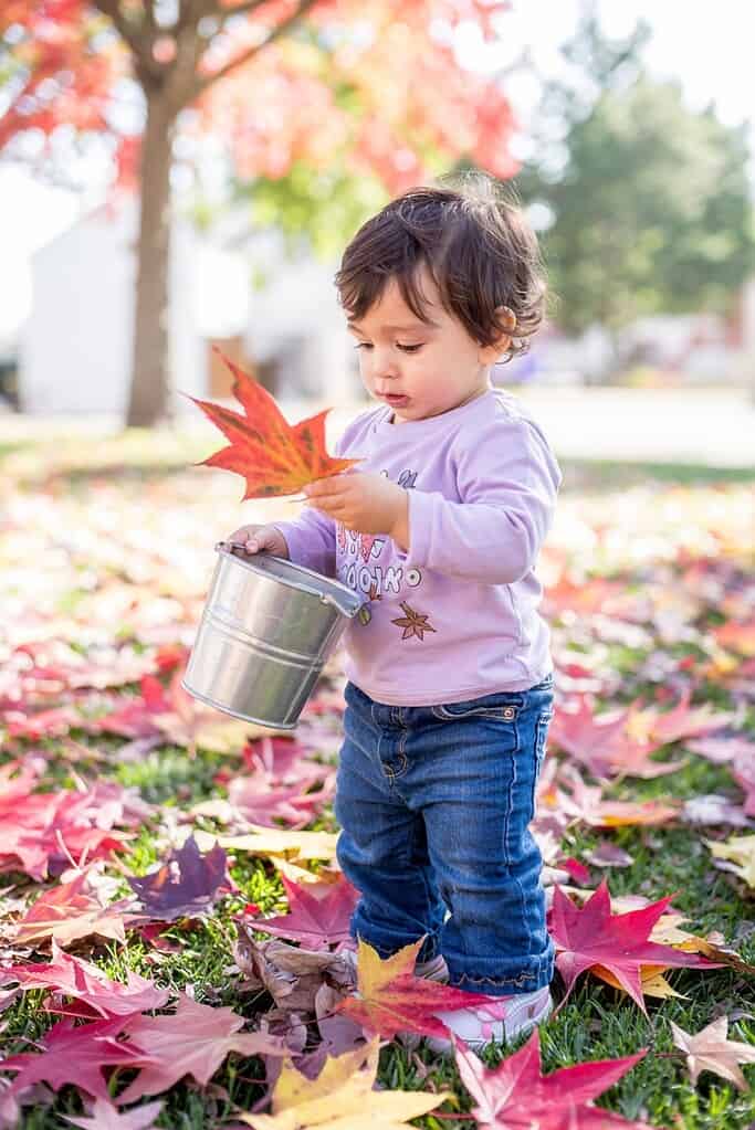 Child holding autumn leaf and metal container outside during fall season.