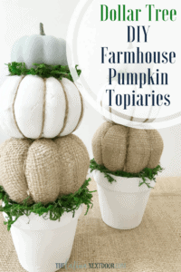 fall pumpkin topiaries