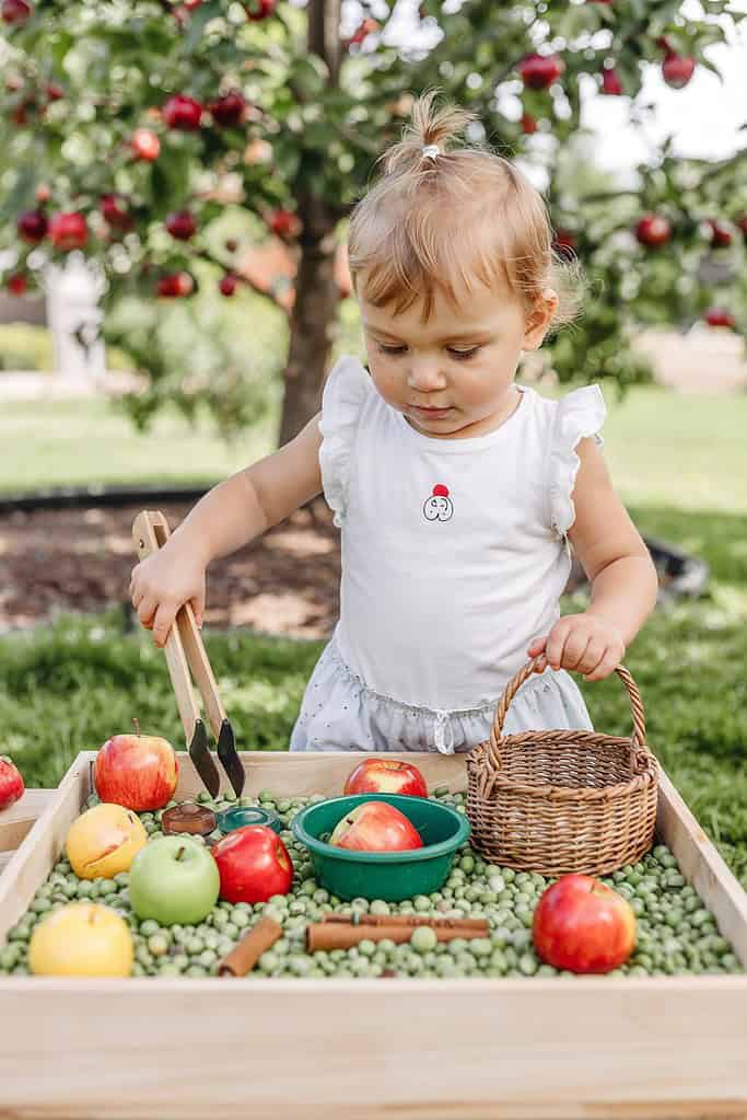 Little girl in white dress playing with apple orchard sensory bin under apple tree, using tongs to pick apples from green beans with small basket nearby.